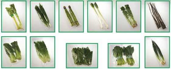 葉菜包裝機(jī) 葉菜包裝機(jī)